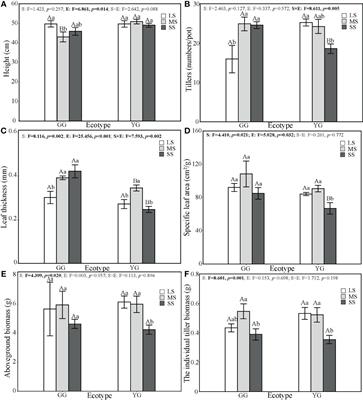 Adaptation responses of different ecotypes of Leymus chinensis to saline–alkaline stress